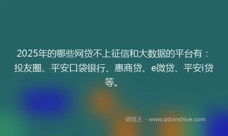 2025年的哪些网贷不上征信和大数据的平台有：投友圈、平安口袋银行、惠商贷、e微贷、平安i贷等。