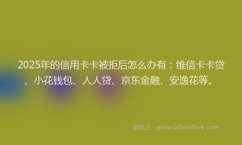 2025年的信用卡卡被拒后怎么办有：维信卡卡贷、小花钱包、人人贷、京东金融、安逸花等。