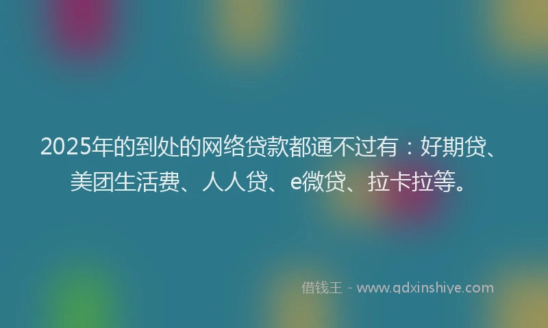2025年的到处的网络贷款都通不过有：好期贷、美团生活费、人人贷、e微贷、拉卡拉等。