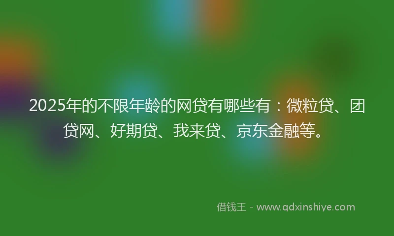 2025年的不限年龄的网贷有哪些有：微粒贷、团贷网、好期贷、我来贷、京东金融等。