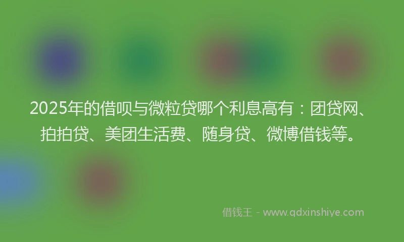 2025年的借呗与微粒贷哪个利息高有：团贷网、拍拍贷、美团生活费、随身贷、微博借钱等。