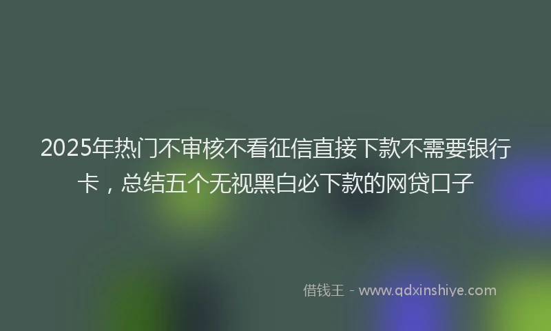 2025年热门不审核不看征信直接下款不需要银行卡，总结五个无视黑白必下款的网贷口子