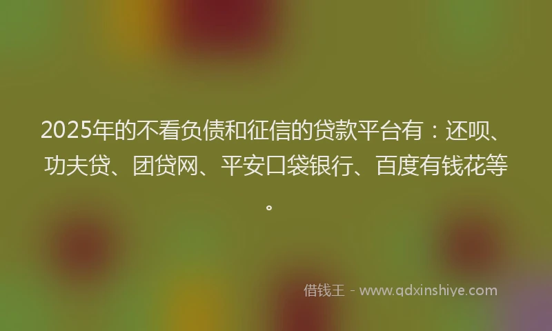 2025年的不看负债和征信的贷款平台有：还呗、功夫贷、团贷网、平安口袋银行、百度有钱花等。