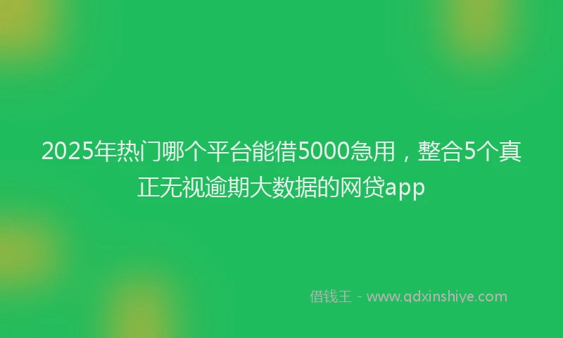 2025年热门哪个平台能借5000急用，整合5个真正无视逾期大数据的网贷app