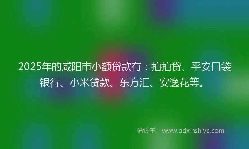 2025年的咸阳市小额贷款有：拍拍贷、平安口袋银行、小米贷款、东方汇、安逸花等。