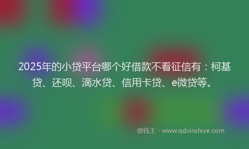 2025年的小贷平台哪个好借款不看征信有：柯基贷、还呗、滴水贷、信用卡贷、e微贷等。