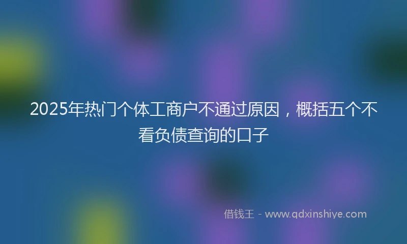 2025年热门个体工商户不通过原因，概括五个不看负债查询的口子