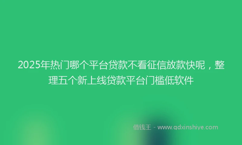 2025年热门哪个平台贷款不看征信放款快呢，整理五个新上线贷款平台门槛低软件