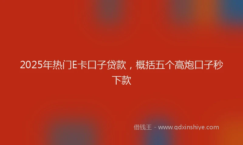 2025年热门E卡口子贷款，概括五个高炮口子秒下款