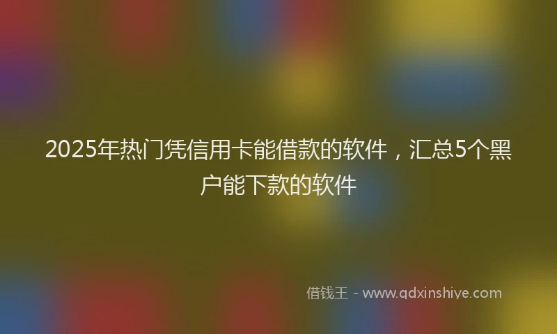 2025年热门凭信用卡能借款的软件，汇总5个黑户能下款的软件