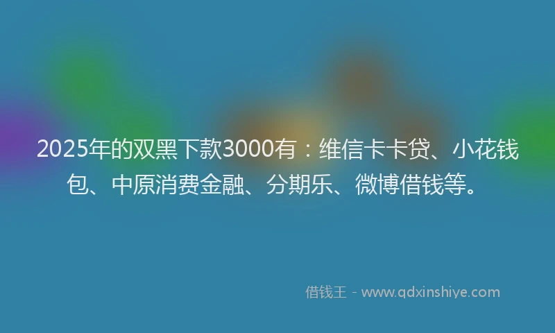 2025年的双黑下款3000有：维信卡卡贷、小花钱包、中原消费金融、分期乐、微博借钱等。