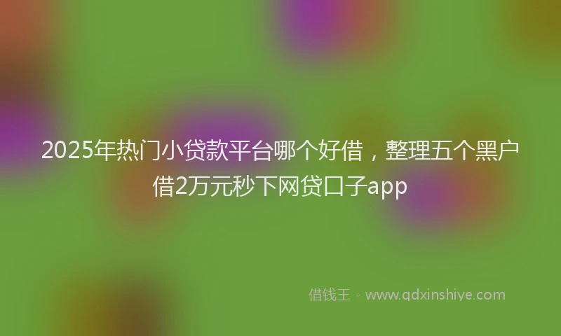 2025年热门小贷款平台哪个好借，整理五个黑户借2万元秒下网贷口子app