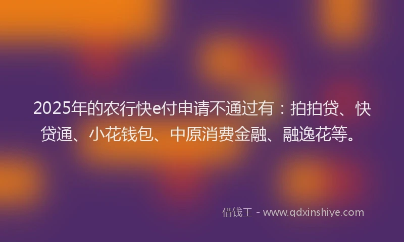 2025年的农行快e付申请不通过有：拍拍贷、快贷通、小花钱包、中原消费金融、融逸花等。