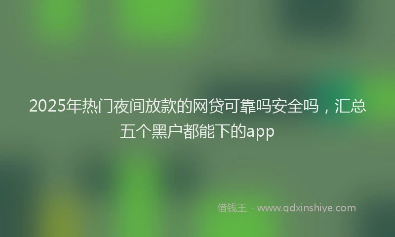 2025年热门夜间放款的网贷可靠吗安全吗，汇总五个黑户都能下的app