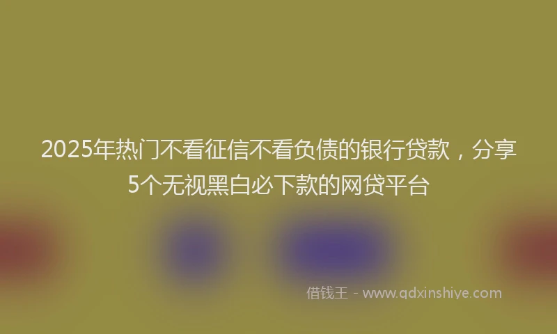 2025年热门不看征信不看负债的银行贷款，分享5个无视黑白必下款的网贷平台