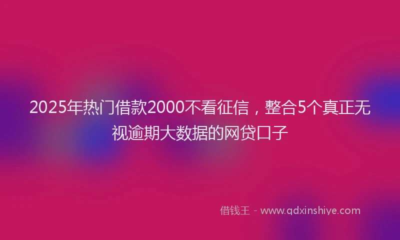 2025年热门借款2000不看征信，整合5个真正无视逾期大数据的网贷口子