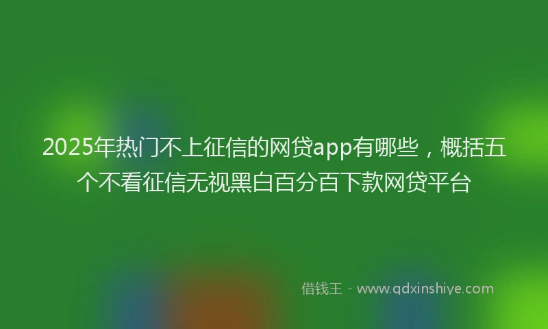 2025年热门不上征信的网贷app有哪些，概括五个不看征信无视黑白百分百下款网贷平台