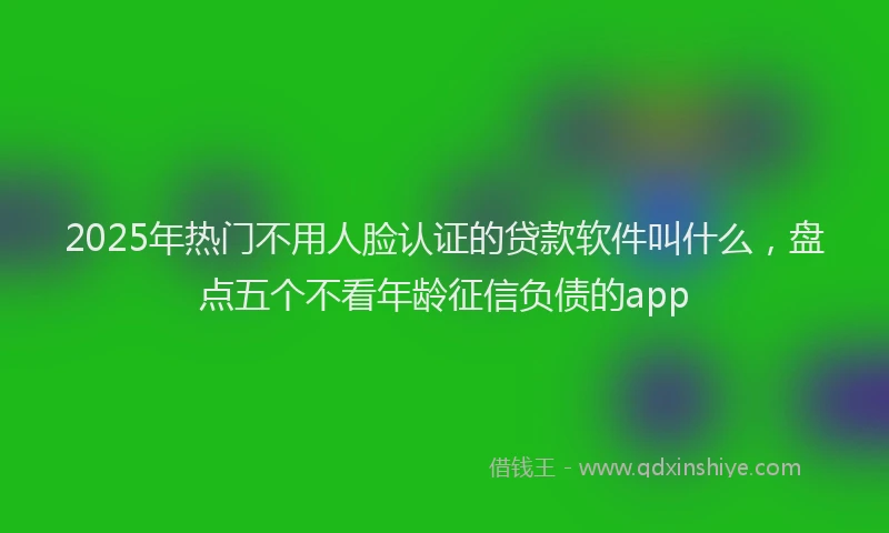 2025年热门不用人脸认证的贷款软件叫什么，盘点五个不看年龄征信负债的app