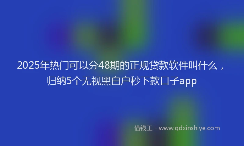 2025年热门可以分48期的正规贷款软件叫什么，归纳5个无视黑白户秒下款口子app