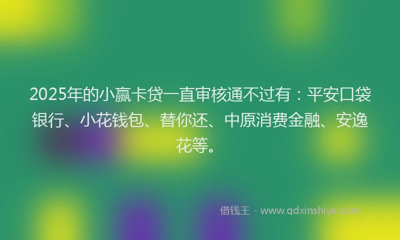 2025年的小赢卡贷一直审核通不过有：平安口袋银行、小花钱包、替你还、中原消费金融、安逸花等。