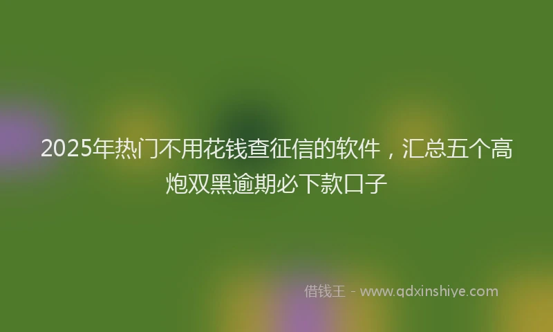 2025年热门不用花钱查征信的软件，汇总五个高炮双黑逾期必下款口子