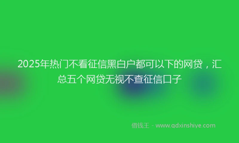2025年热门不看征信黑白户都可以下的网贷，汇总五个网贷无视不查征信口子