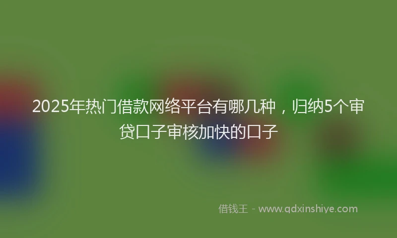 2025年热门借款网络平台有哪几种，归纳5个审贷口子审核加快的口子