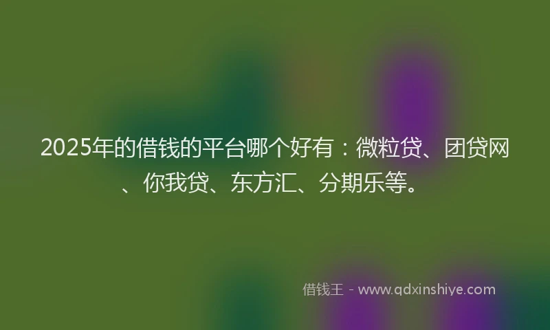 2025年的借钱的平台哪个好有：微粒贷、团贷网、你我贷、东方汇、分期乐等。