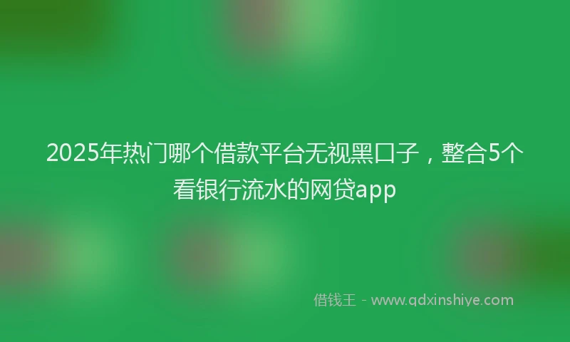 2025年热门哪个借款平台无视黑口子，整合5个看银行流水的网贷app