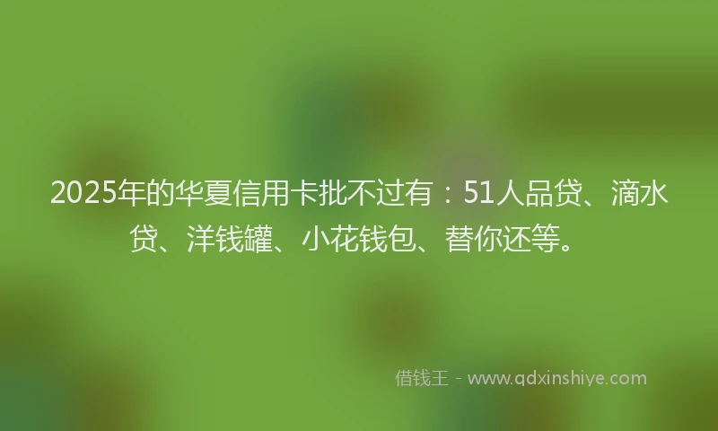 2025年的华夏信用卡批不过有：51人品贷、滴水贷、洋钱罐、小花钱包、替你还等。
