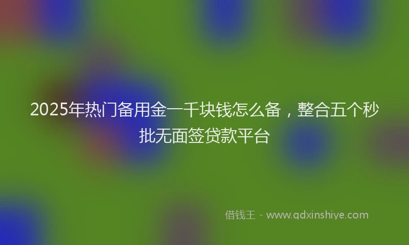 2025年热门备用金一千块钱怎么备，整合五个秒批无面签贷款平台
