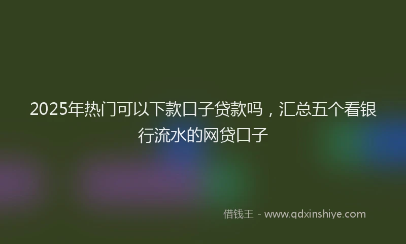 2025年热门可以下款口子贷款吗，汇总五个看银行流水的网贷口子