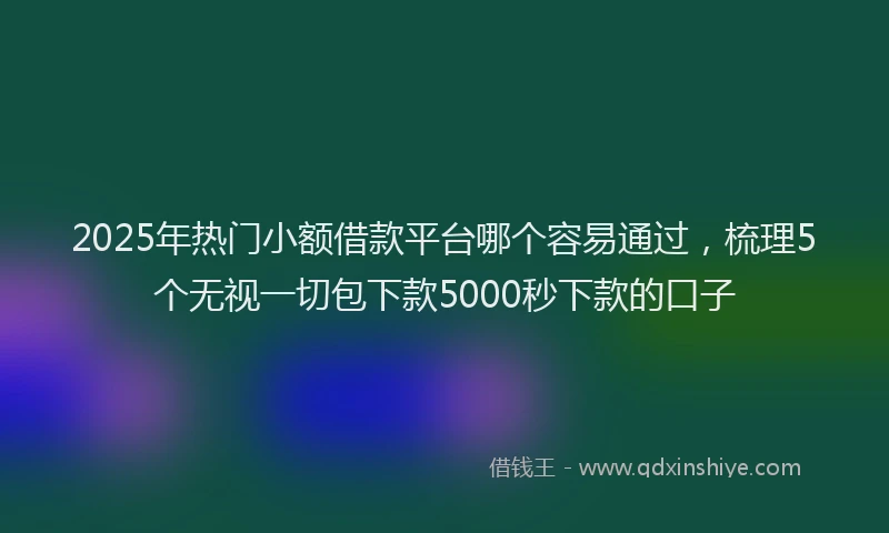 2025年热门小额借款平台哪个容易通过，梳理5个无视一切包下款5000秒下款的口子