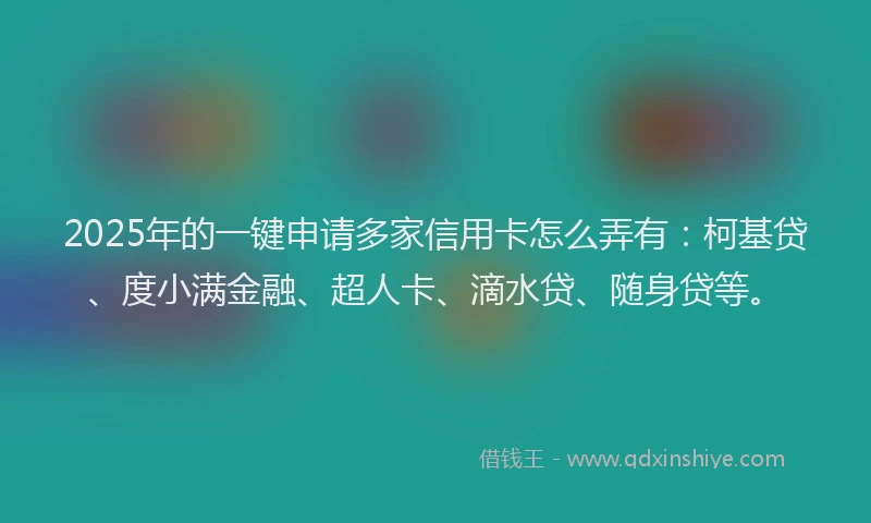 2025年的一键申请多家信用卡怎么弄有：柯基贷、度小满金融、超人卡、滴水贷、随身贷等。