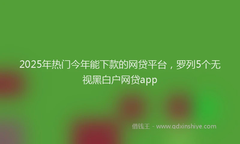 2025年热门今年能下款的网贷平台，罗列5个无视黑白户网贷app
