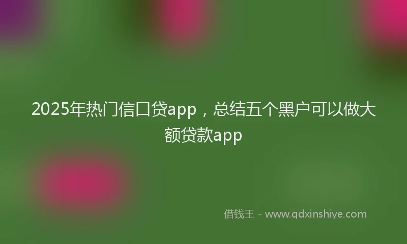 2025年热门信口贷app，总结五个黑户可以做大额贷款app