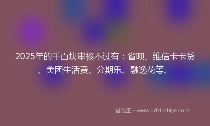 2025年的千百块审核不过有：省呗、维信卡卡贷、美团生活费、分期乐、融逸花等。