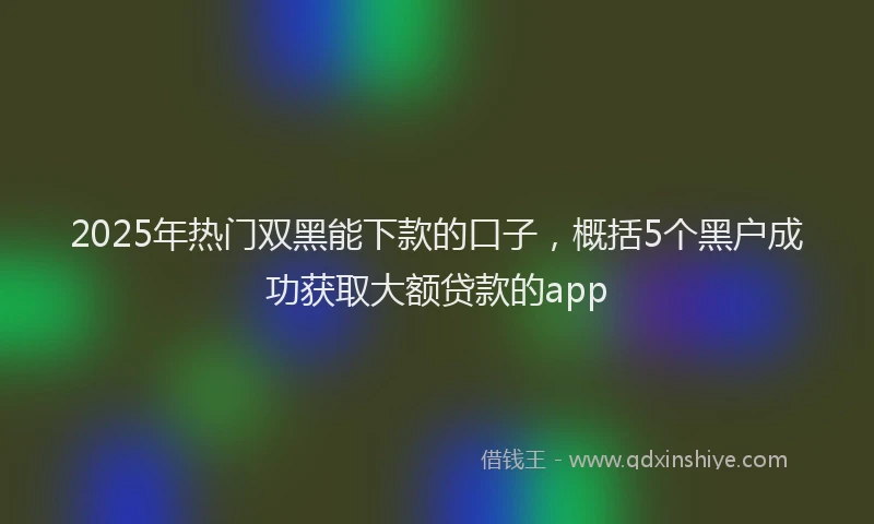 2025年热门双黑能下款的口子，概括5个黑户成功获取大额贷款的app