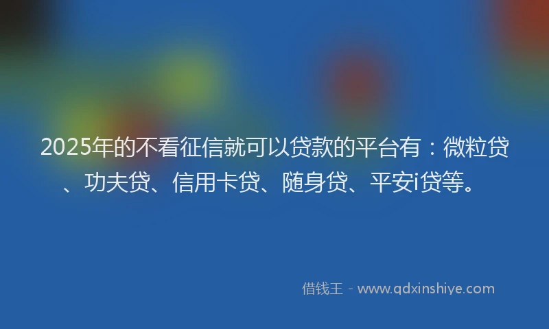 2025年的不看征信就可以贷款的平台有：微粒贷、功夫贷、信用卡贷、随身贷、平安i贷等。