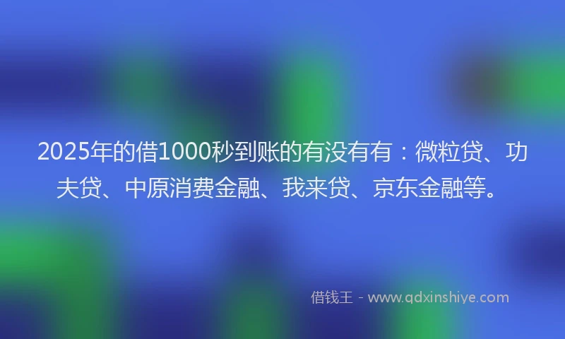2025年的借1000秒到账的有没有有：微粒贷、功夫贷、中原消费金融、我来贷、京东金融等。