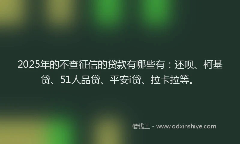 2025年的不查征信的贷款有哪些有：还呗、柯基贷、51人品贷、平安i贷、拉卡拉等。