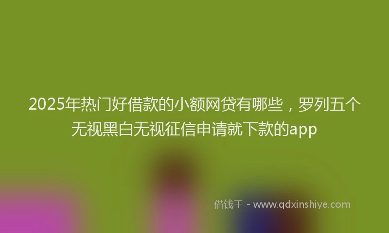 2025年热门好借款的小额网贷有哪些，罗列五个无视黑白无视征信申请就下款的app
