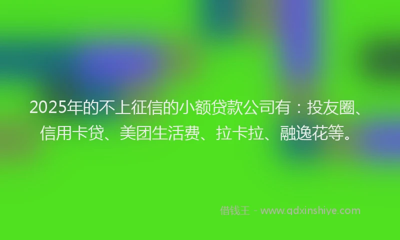 2025年的不上征信的小额贷款公司有：投友圈、信用卡贷、美团生活费、拉卡拉、融逸花等。