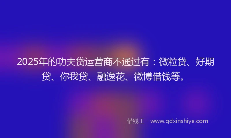 2025年的功夫贷运营商不通过有：微粒贷、好期贷、你我贷、融逸花、微博借钱等。