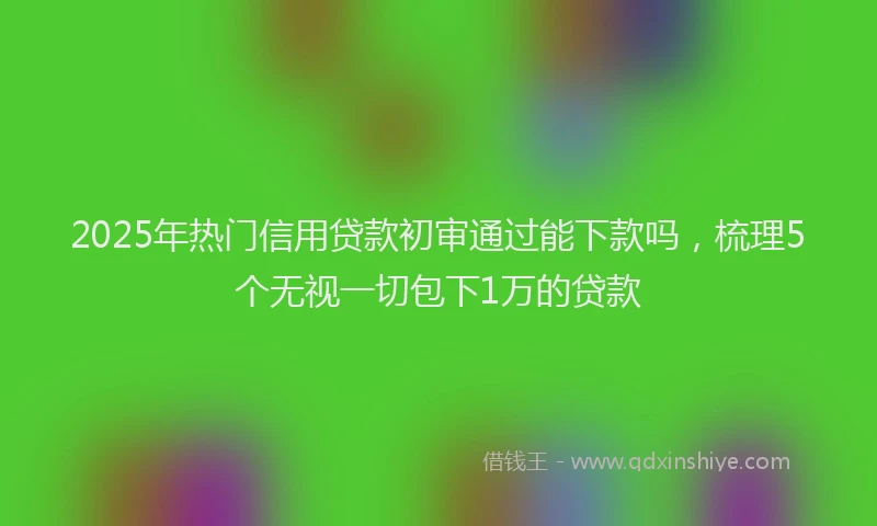 2025年热门信用贷款初审通过能下款吗，梳理5个无视一切包下1万的贷款