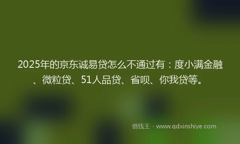 2025年的京东诚易贷怎么不通过有：度小满金融、微粒贷、51人品贷、省呗、你我贷等。
