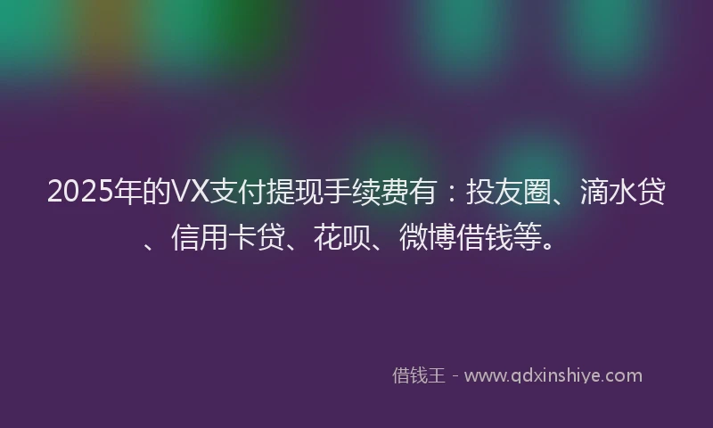 2025年的VX支付提现手续费有：投友圈、滴水贷、信用卡贷、花呗、微博借钱等。