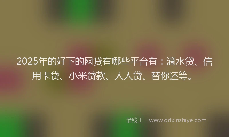 2025年的好下的网贷有哪些平台有：滴水贷、信用卡贷、小米贷款、人人贷、替你还等。