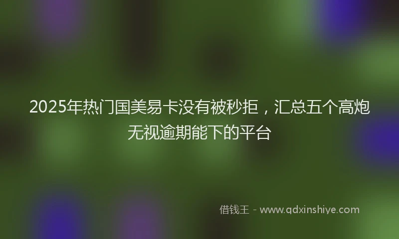 2025年热门国美易卡没有被秒拒，汇总五个高炮无视逾期能下的平台
