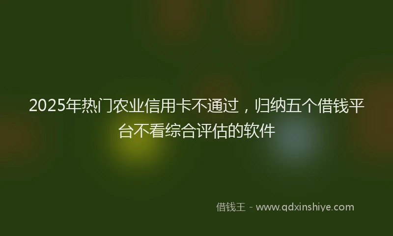 2025年热门农业信用卡不通过，归纳五个借钱平台不看综合评估的软件